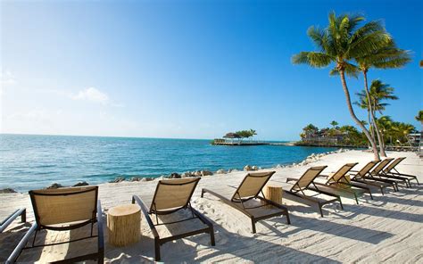 Pelican cove resort - Pelican Cove is a relaxing well maintained resort in Islamorada. The ocean views from every room are great. Beautiful sunrise from our balcony. The pool is small but sufficient …